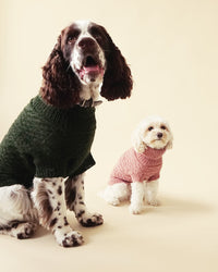 Kit Alvar Dog Sweater A